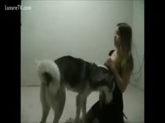Nice dog
